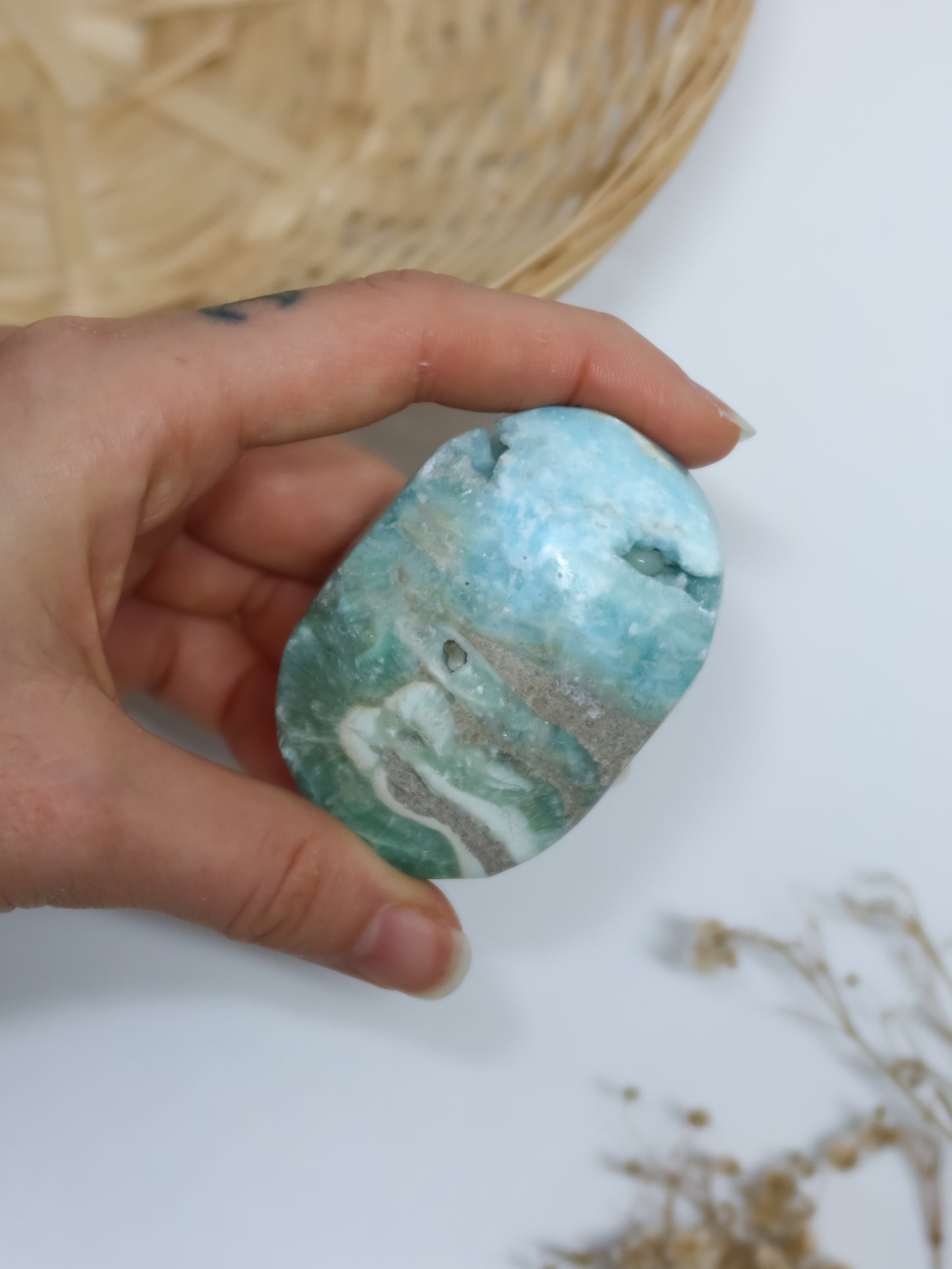 Palmstone in Calcite Caraibica