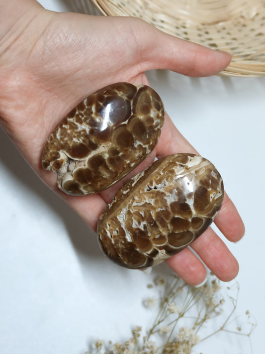 Palmstone in Calcite Cioccolato (Aragonite Marrone)