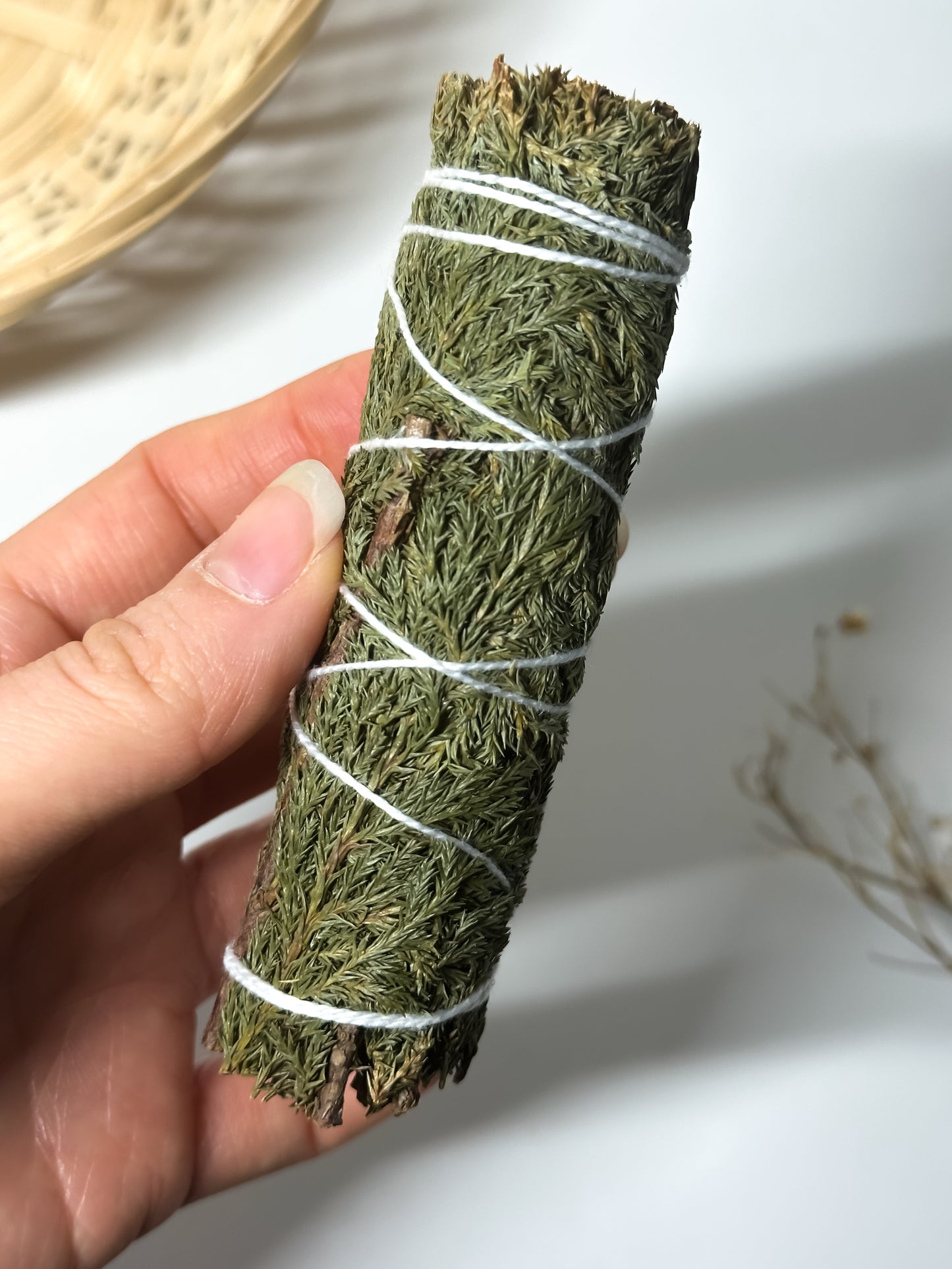 Cedro - Bundle di Erbe