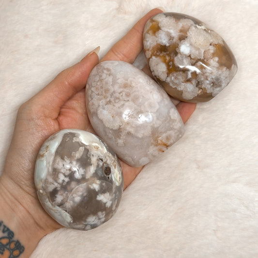 FREEFORM IN AGATA SAKURA