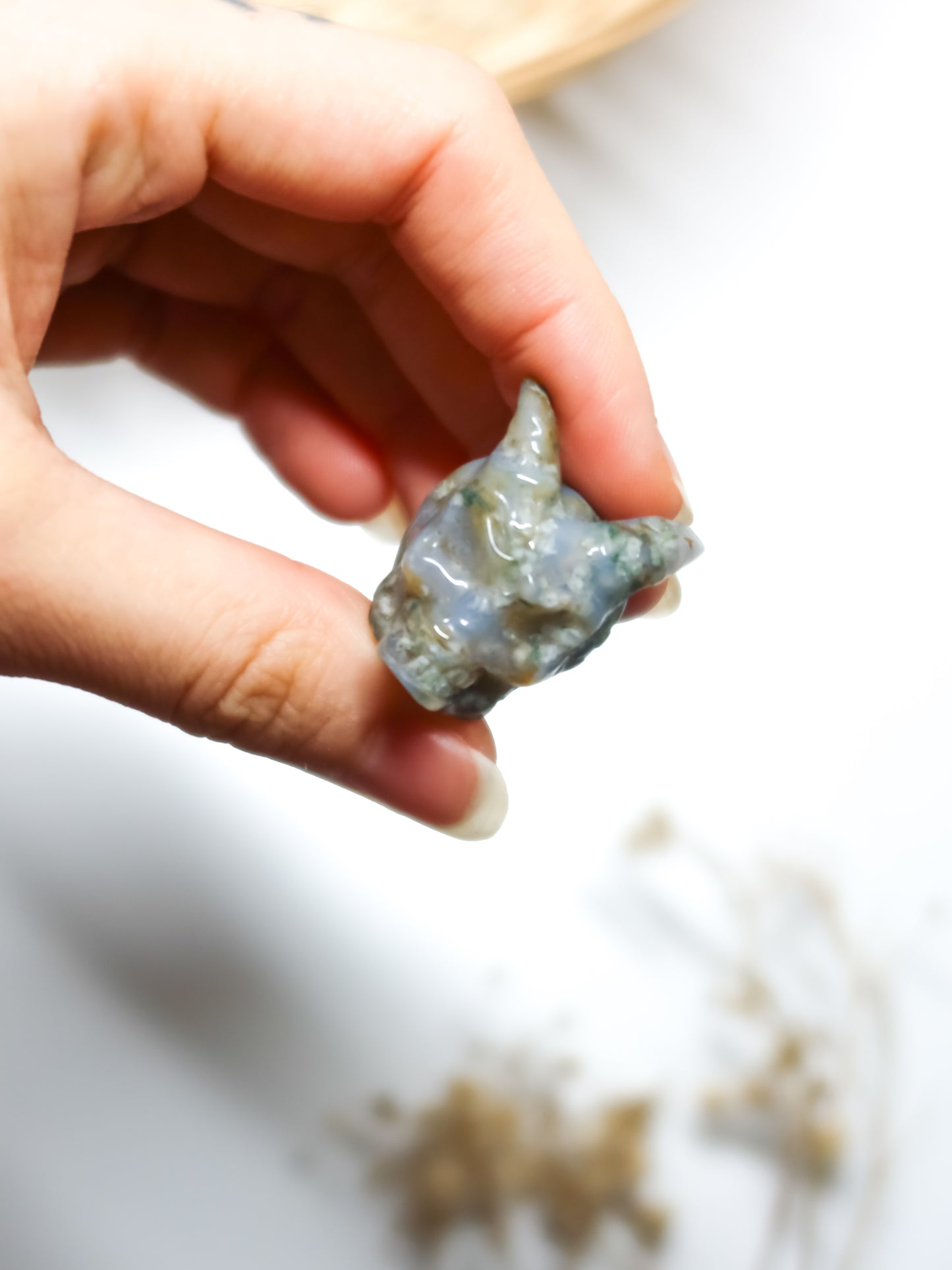 Teschio con Corna in Agata Muschiata