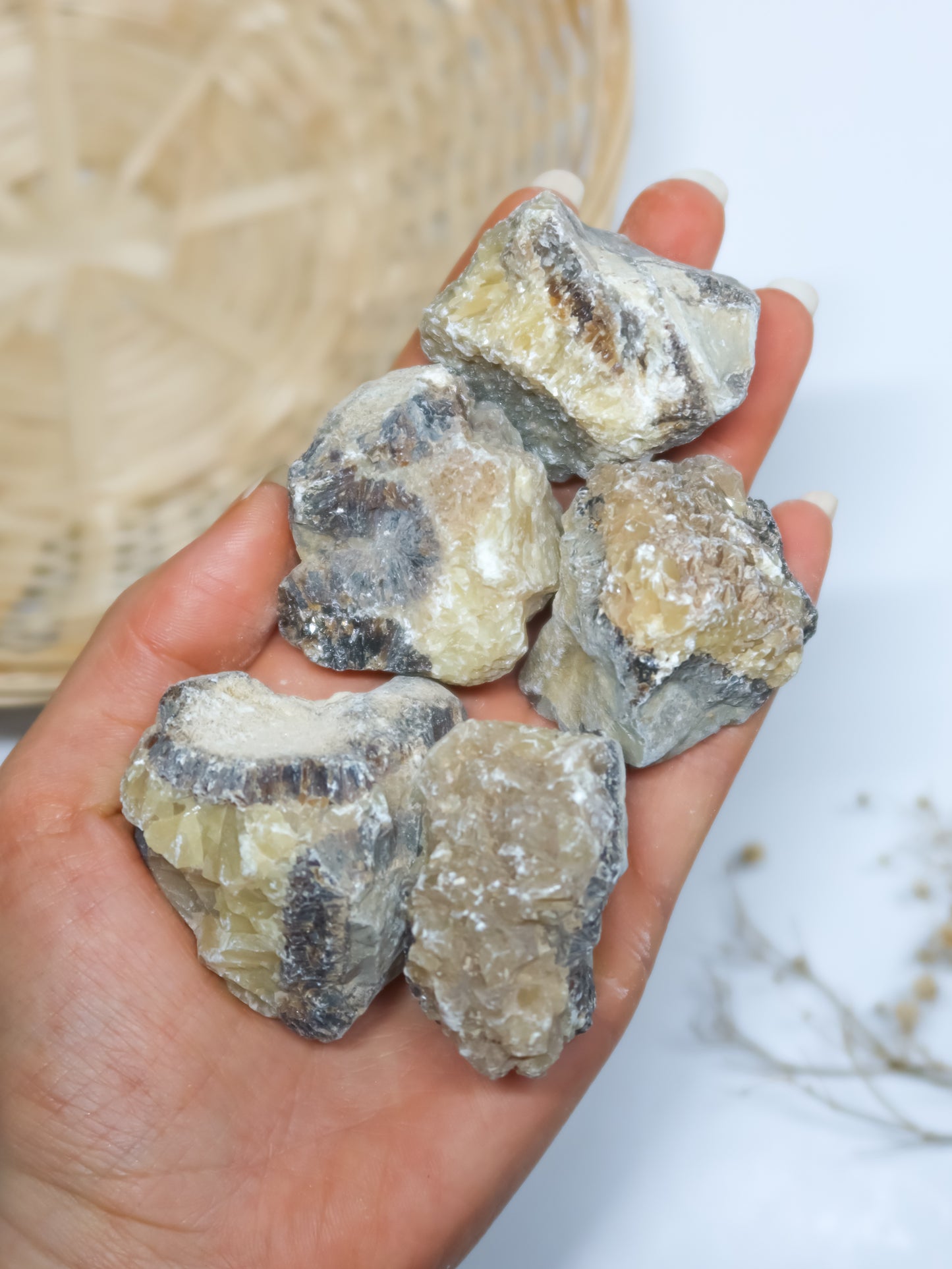 Septaria (Pietra del Drago) Grezza
