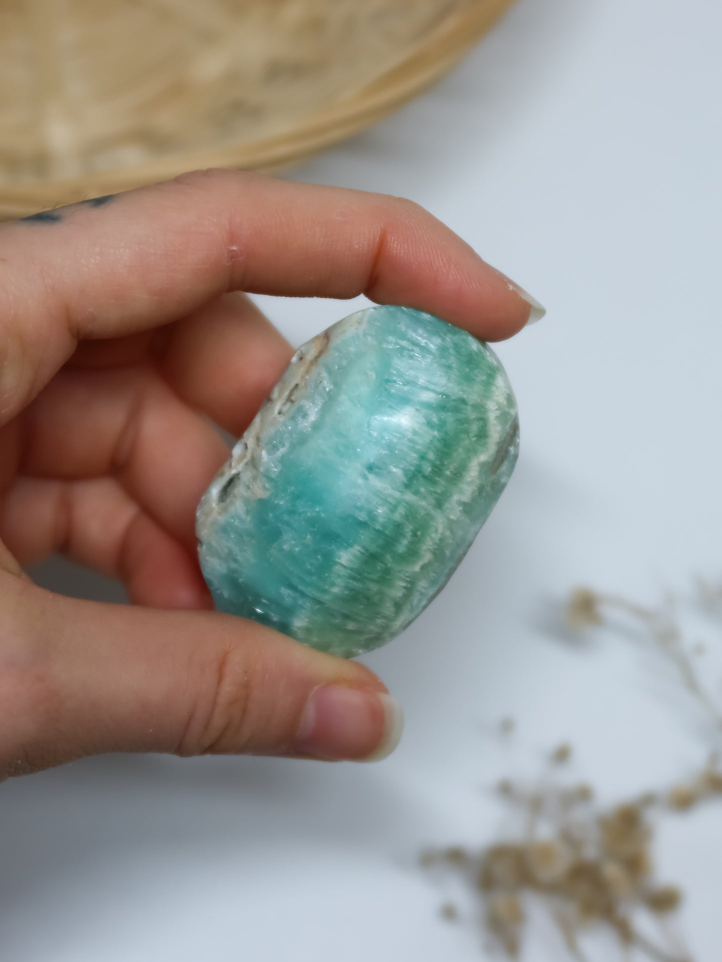 Palmstone in Calcite Caraibica