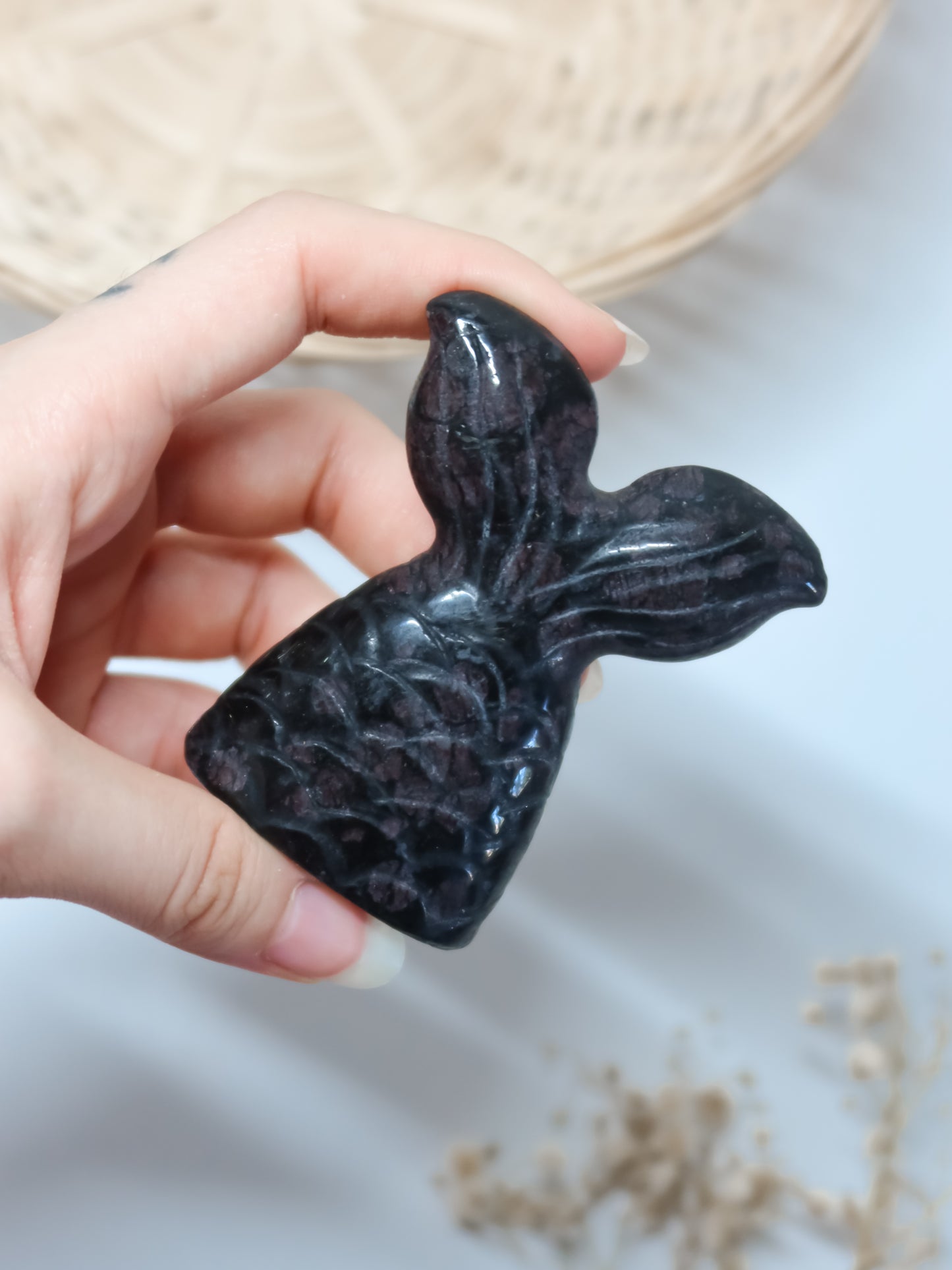 Coda di Sirena di Granato in Arfvedsonite