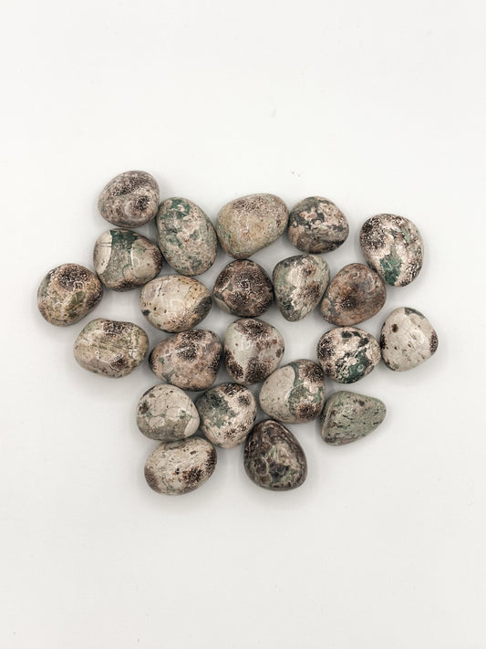 Diaspro Fiorito Verde Burattato