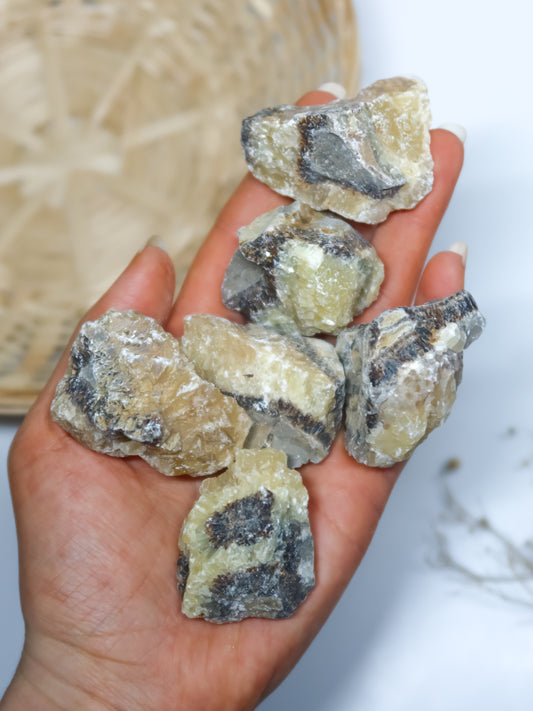 Septaria (Pietra del Drago) Grezza