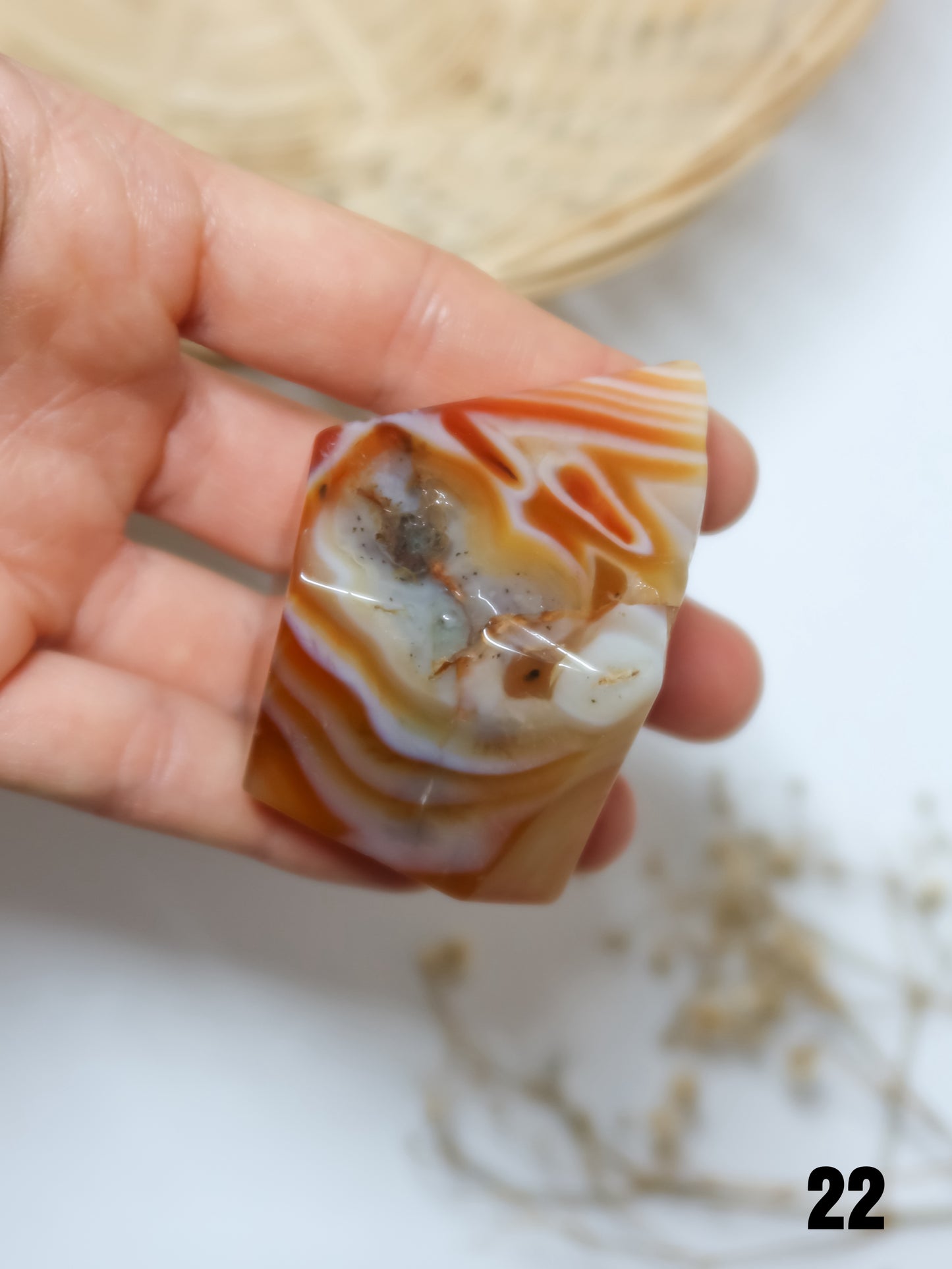 Freeform in Corniola