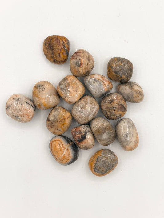 Agata Pizzo Pazzo (Crazy Lace Agate) Burattata