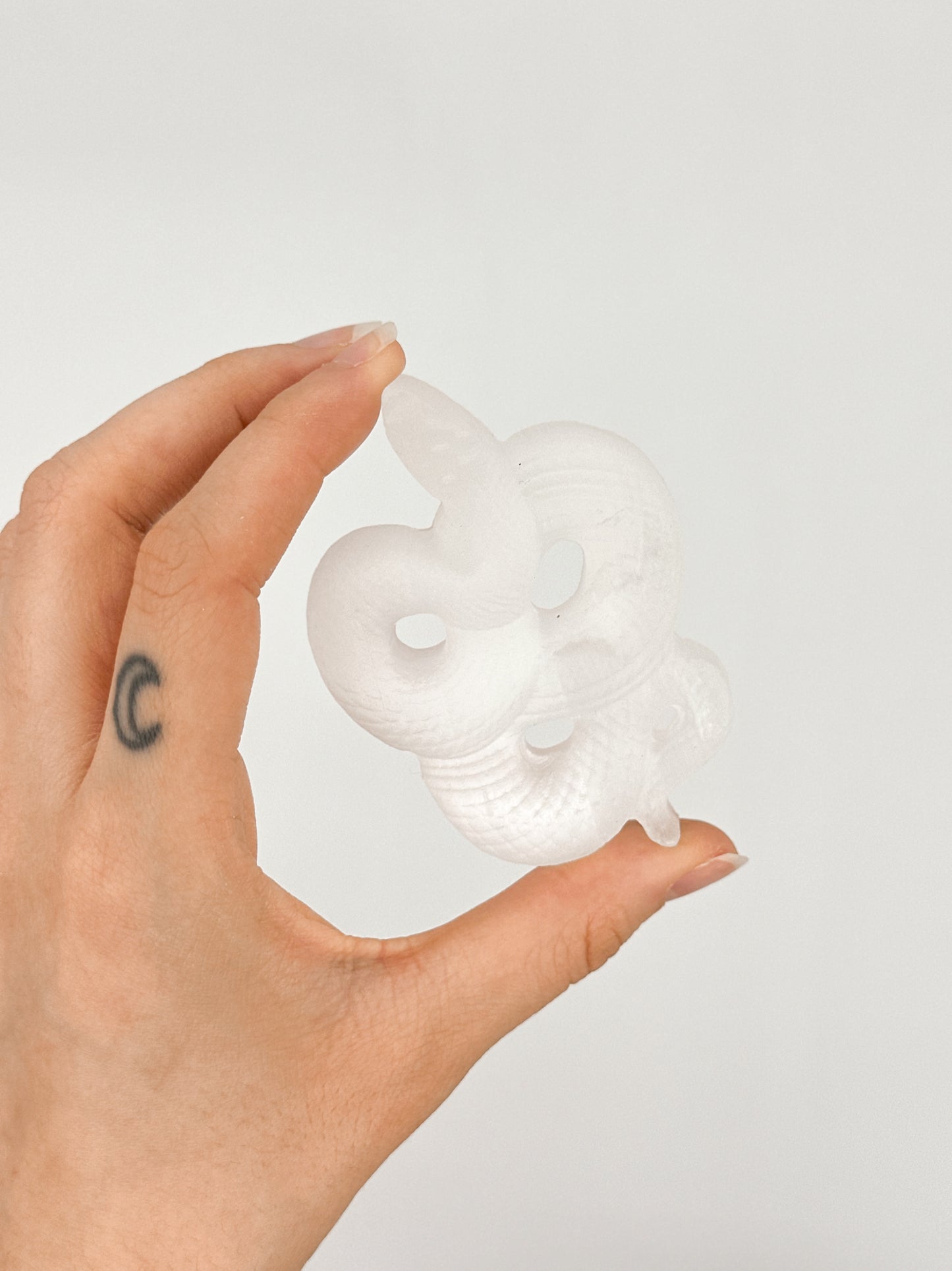 Serpente in Selenite