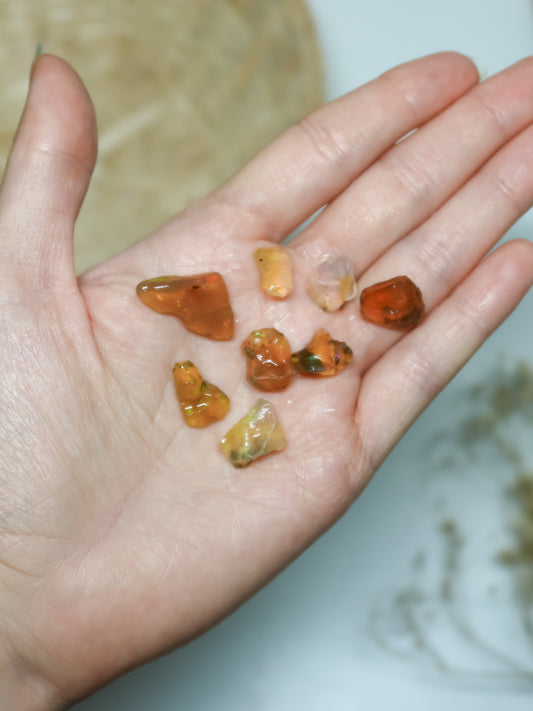 Opale Etiope (in Acqua)