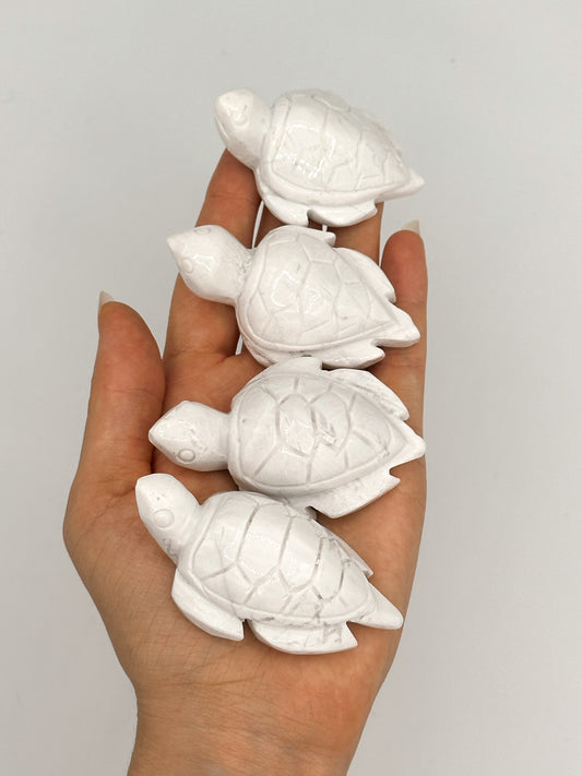 TARTARUGA IN AGATA BIANCA