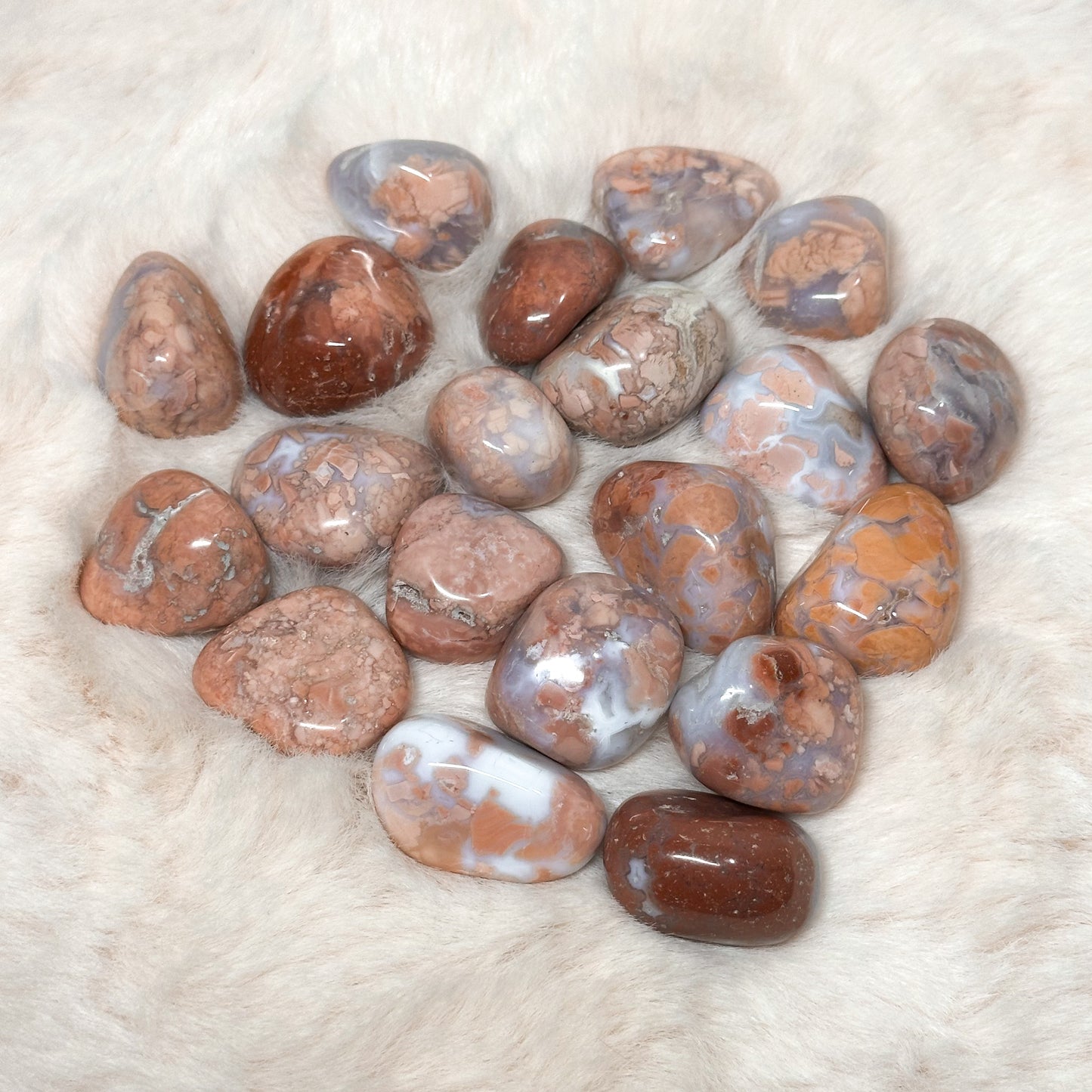 AGATA ROSA BURATTATA