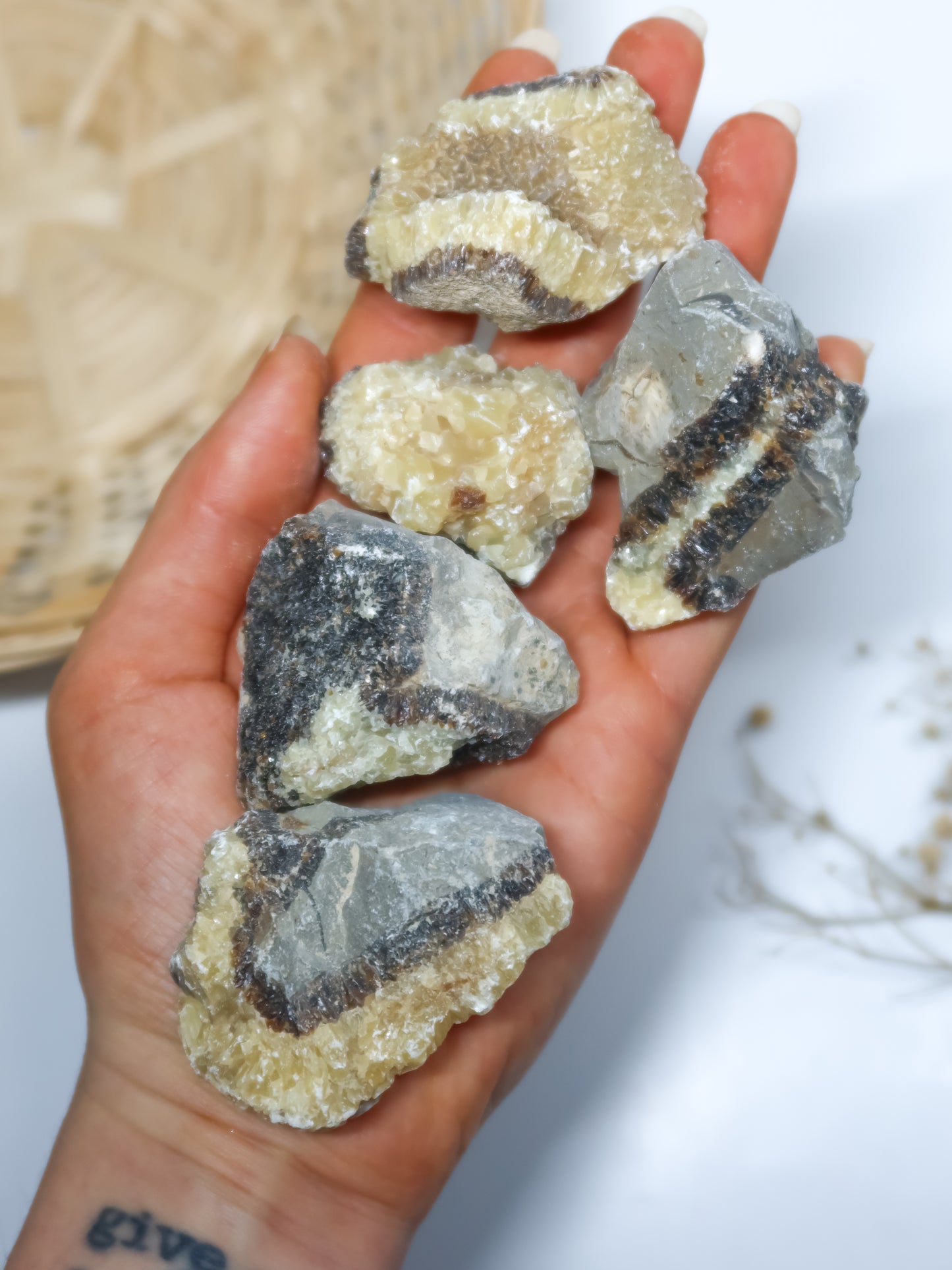 Septaria (Pietra del Drago) Grezza