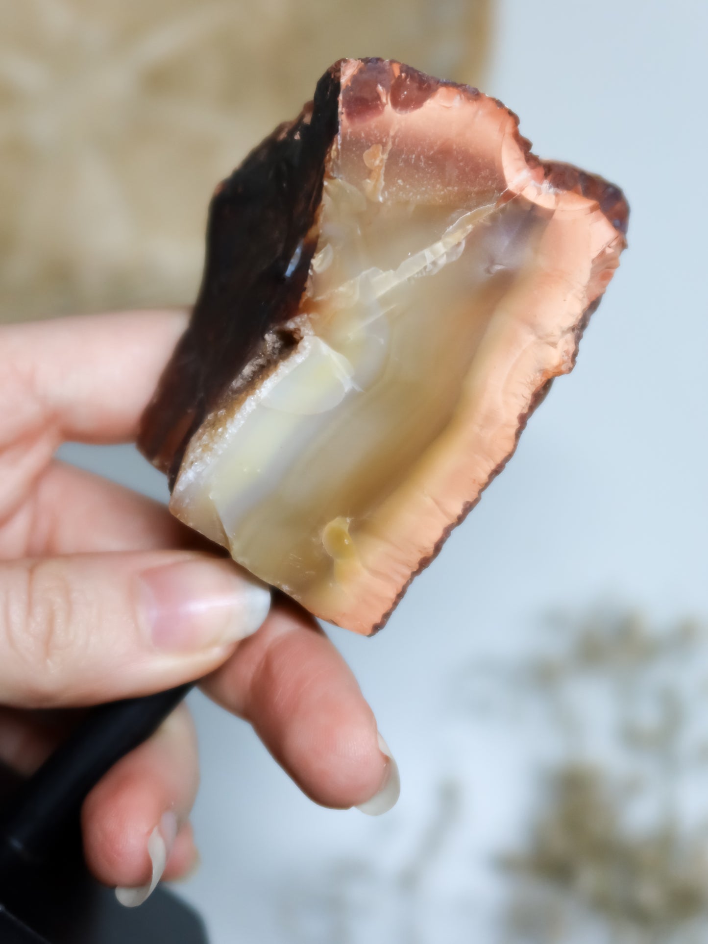 Corniola Grezza su Stand in Metallo