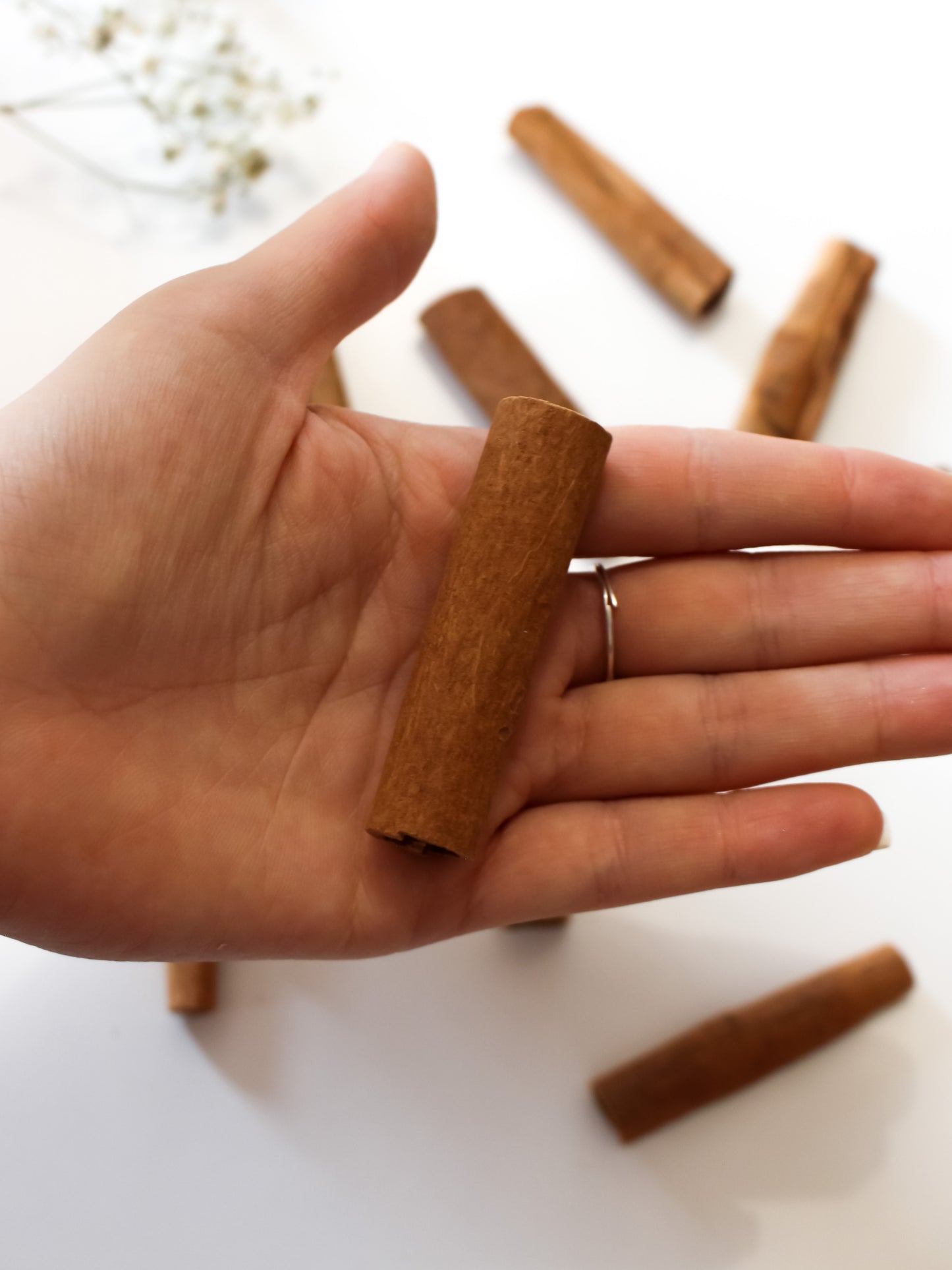 Stecche di Cannella - Erba Essiccata (25gr)