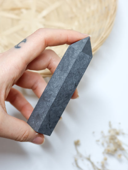 Torre in Shungite