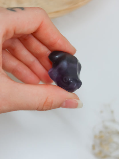 Rana in Fluorite, Larvikite