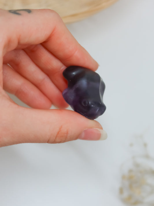 Rana in Fluorite, Larvikite