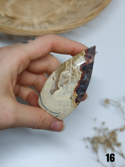 Freeform a Fiamma in Agata Pizzo Pazzo (Crazy Lace Agate)