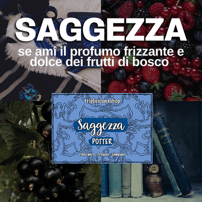 CANDELE | COLLEZIONE POTTER