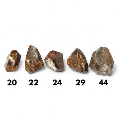 FREEFORM IN QUARZO RED AMPHIBOLE