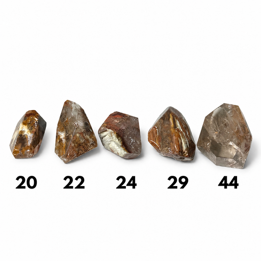 FREEFORM IN QUARZO RED AMPHIBOLE