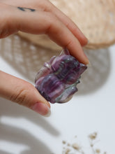 Carica l&#39;immagine nel visualizzatore di Gallery, Volpe in Fluorite
