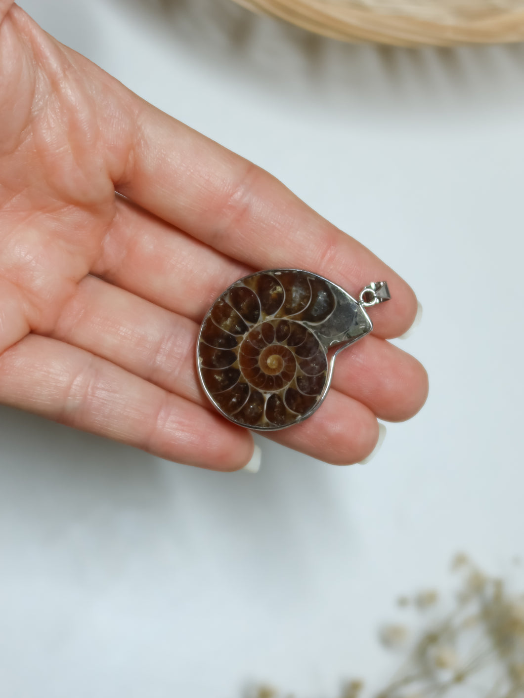 Ciondolo in Ammonite Fossile