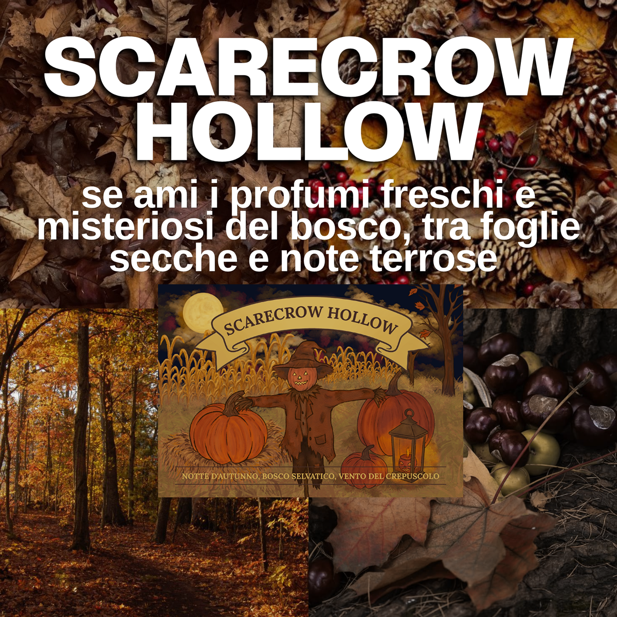 CANDELA SCARECROW HOLLOW