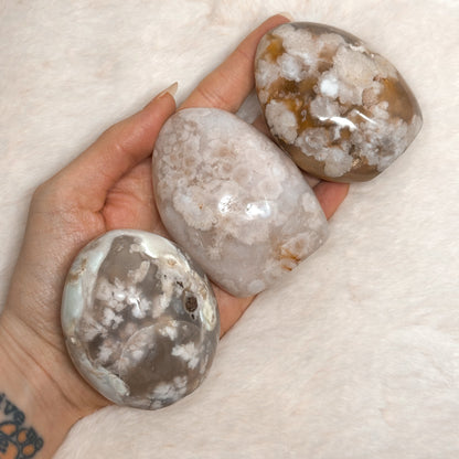 FREEFORM IN AGATA SAKURA