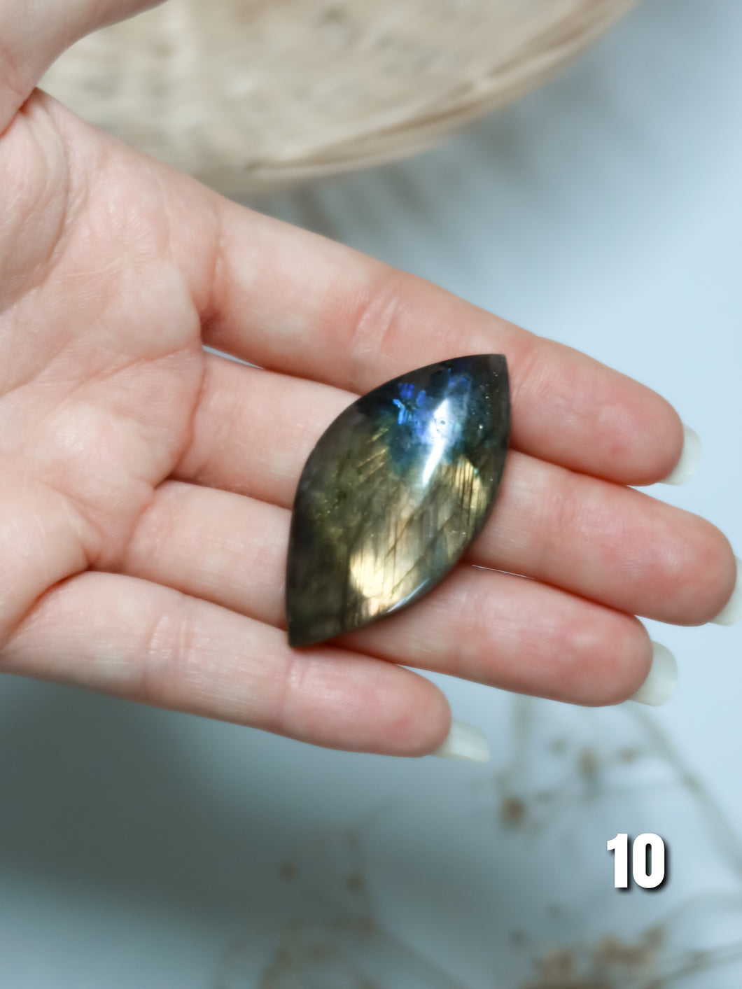 Foglia in Labradorite