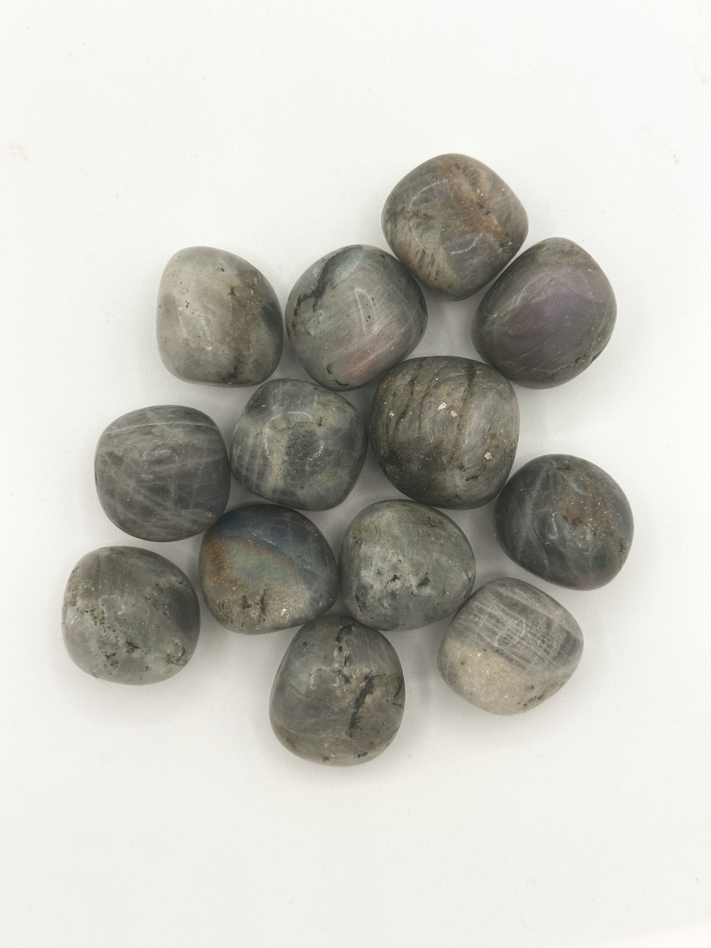 LABRADORITE BURATTATA