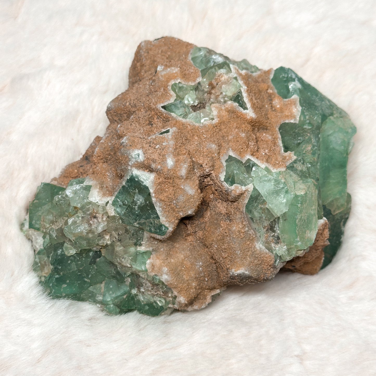 SPECIMEN IN FLUORITE