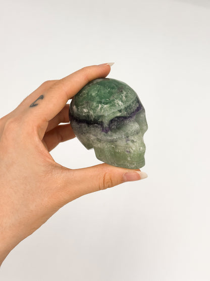TESCHIO IN FLUORITE ARCOBALENO