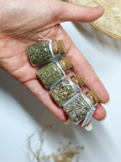 Kit da 8 Erbe Essiccate
