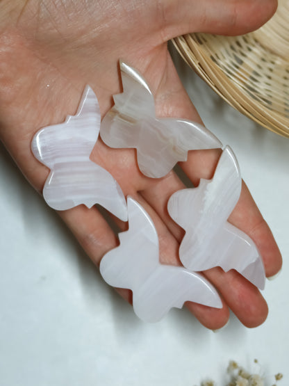 Farfalla in Calcite Mangano