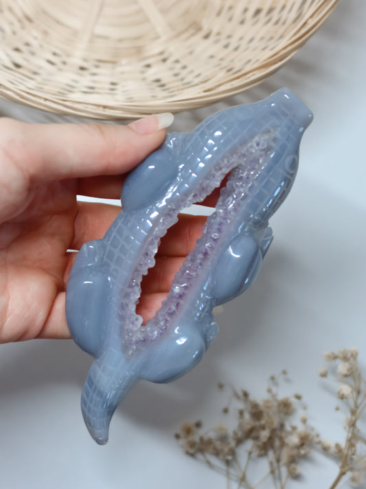 Coccodrillo in Agata + Ametista