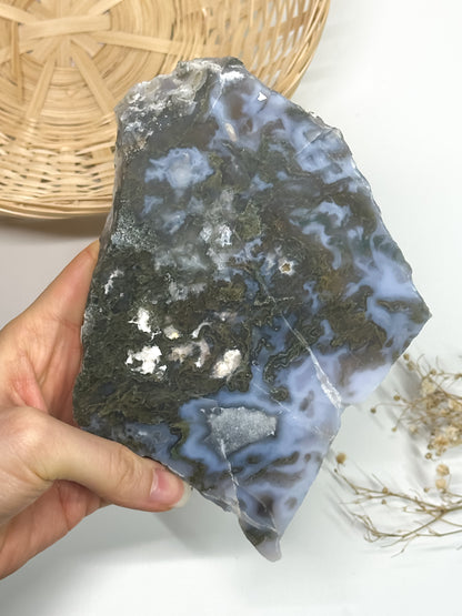 Fetta in Agata Muschiata