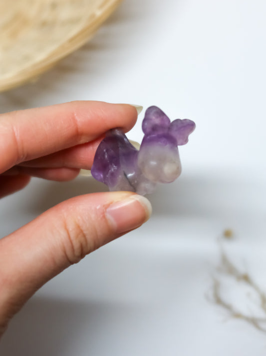 Alce in Ossidiana Nera, Fluorite Arcobaleno