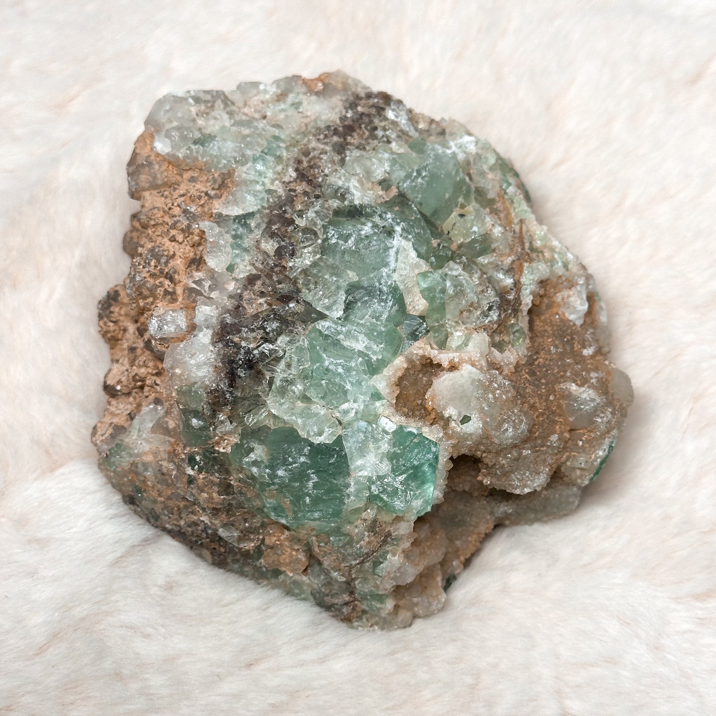 SPECIMEN IN FLUORITE