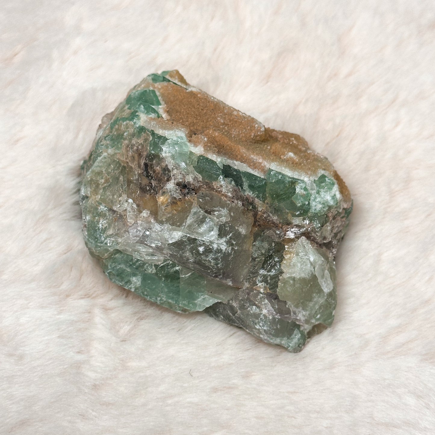 SPECIMEN IN FLUORITE