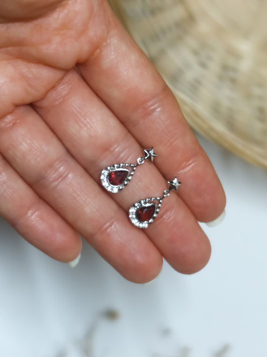 Orecchini in Granato (Argento 925)