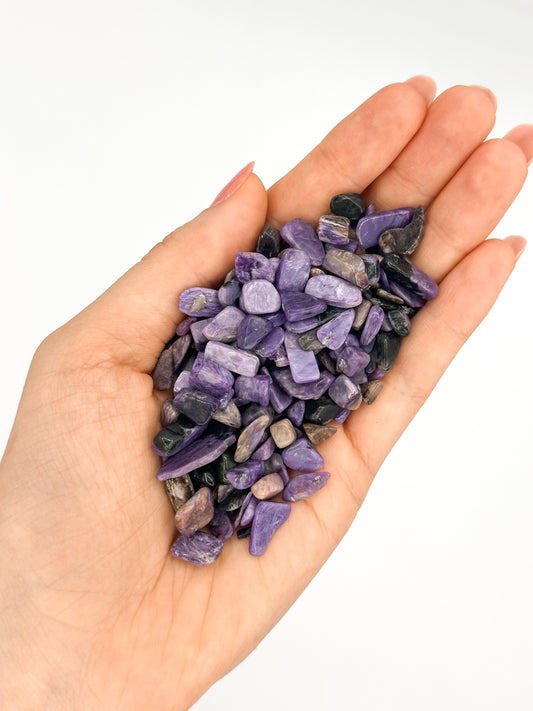 Chips in Ciaroite (30gr)