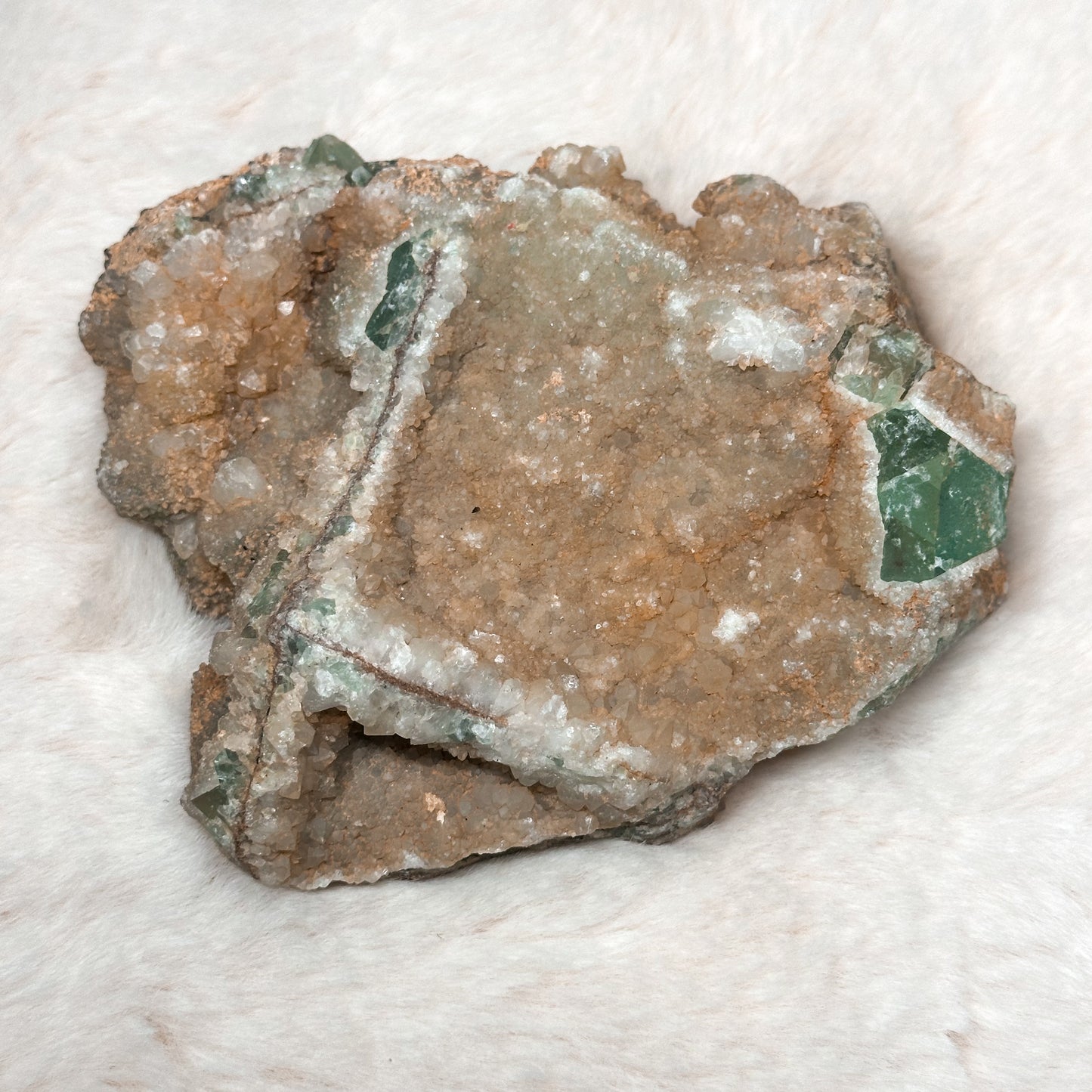 SPECIMEN IN FLUORITE