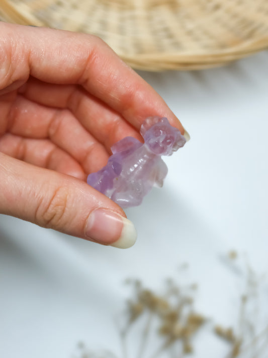 Drago in Fluorite