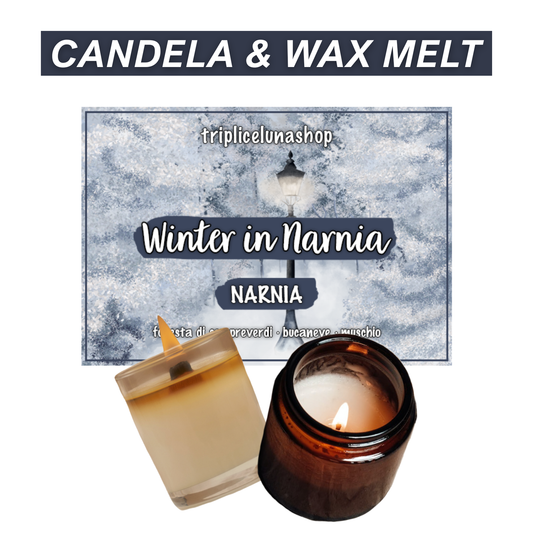 WINTER IN NARNIA | NATALE, INVERNO 2024 (CANDELA/WAX MELT)