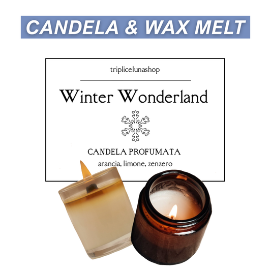 WINTER WONDERLAND | NATALE, INVERNO 2022 (CANDELA/WAX MELT)