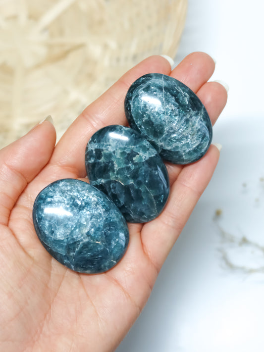 Palmstone in Apatite