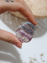 Carica l&#39;immagine nel visualizzatore di Gallery, Volpe in Fluorite
