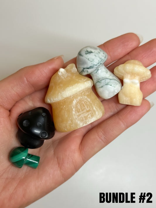 Bundle: Funghi